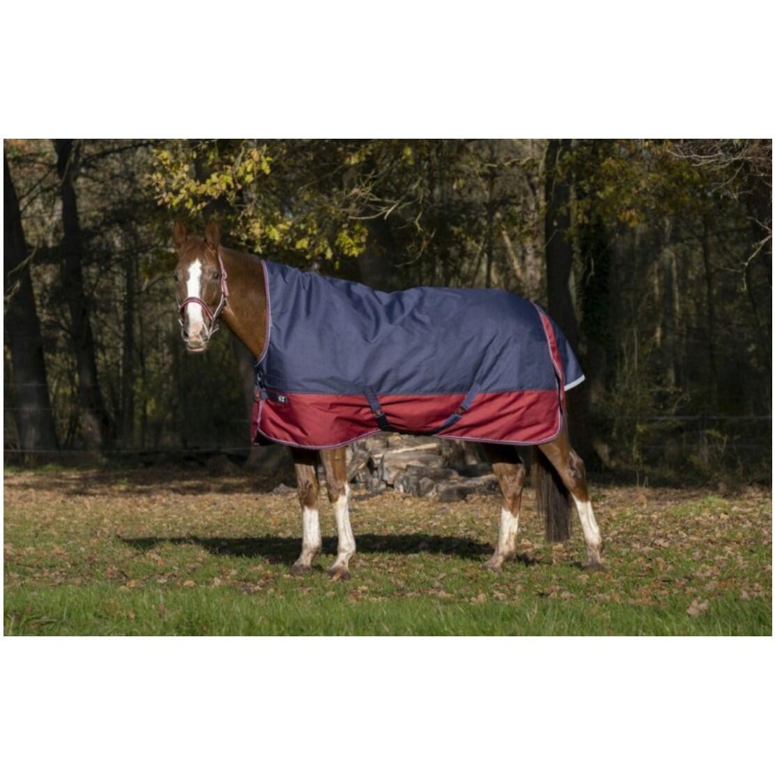 EQUITHÈME Winterdecke Highneck 50g Füllung 1200D TYREX marineblau/bordeauxrot