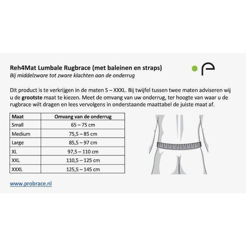 Reh4mat Lumbale Rugbrace - Grijs