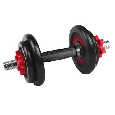 Men's health dumbbell set 20 kg