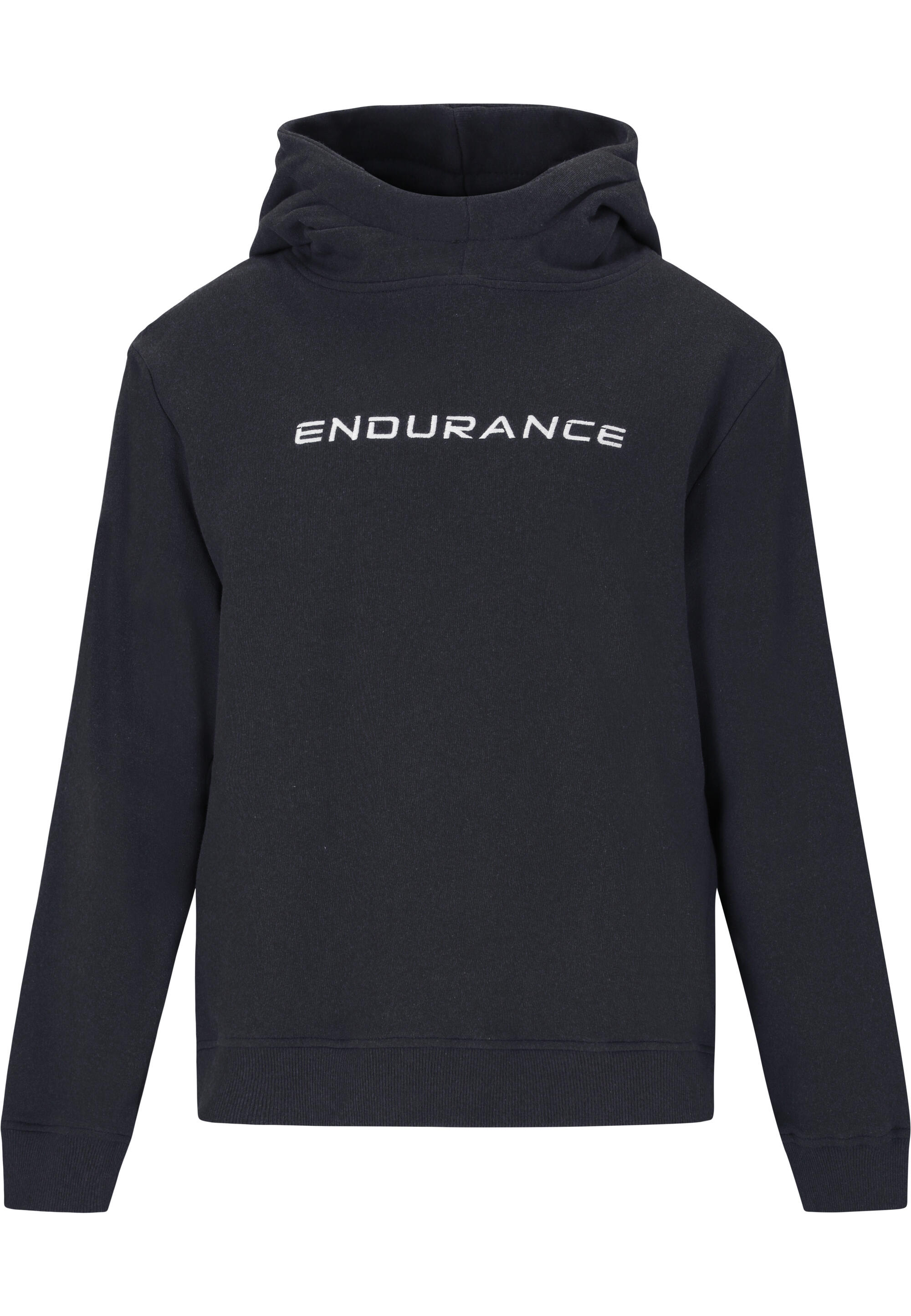 ENDURANCE picture