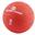 Ballon médicinal professionnel (1Kg – 5kg)