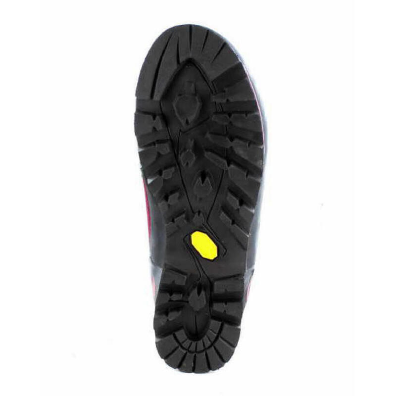 Wanderschuh Mountain Expert Evo GTX Ws