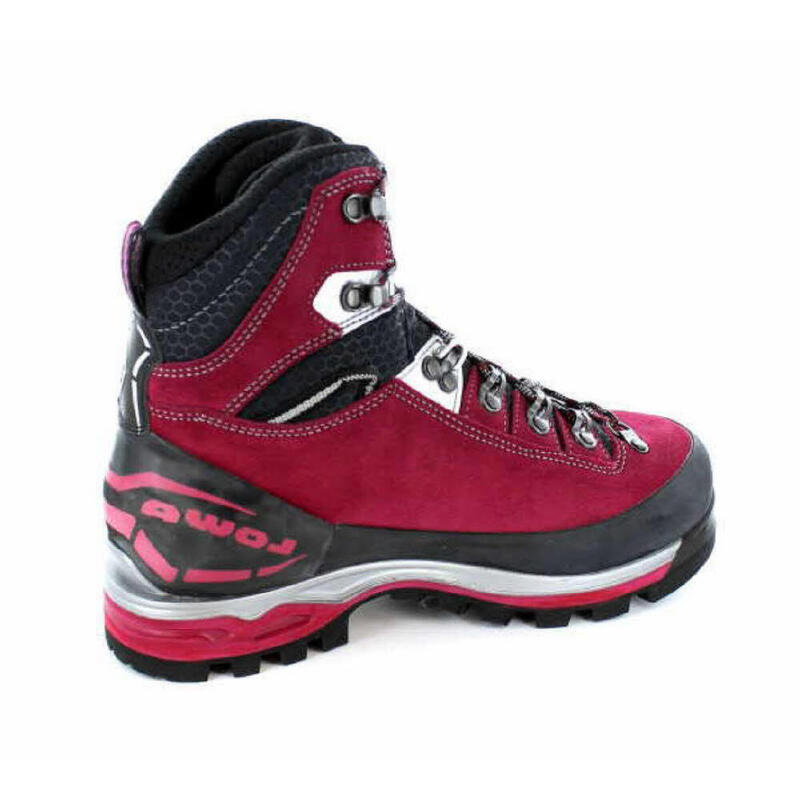 Wanderschuh Mountain Expert Evo GTX Ws