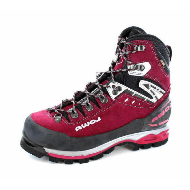 Wanderschuh Mountain Expert Evo GTX Ws