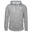 Kapuzenpullover Rival Terry LC Herren