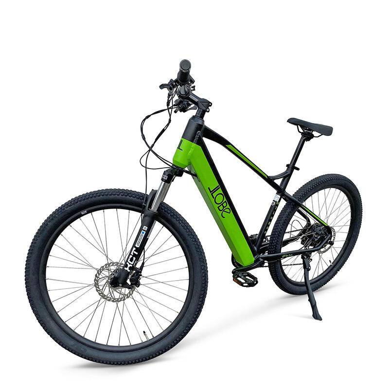 Elektrisches Mountainbike, MTLogan, 10 Gang, 13,2 Ah, grün