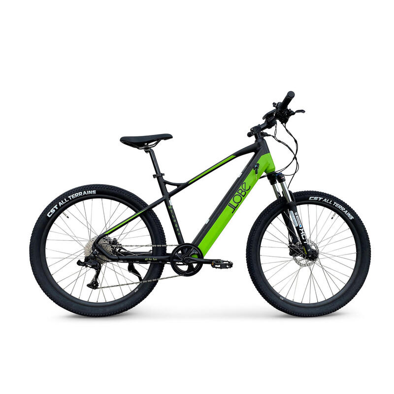 Elektrisches Mountainbike, MTLogan, 10 Gang, 13,2 Ah, grün