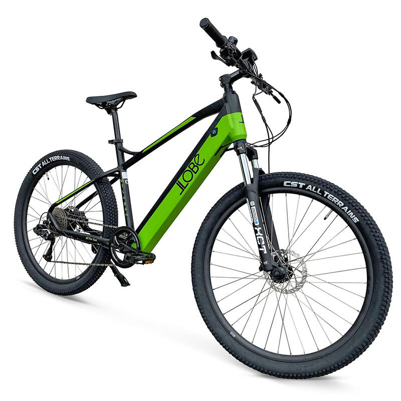 Elektrische mountainbike, MTLogan, 10 sp, 13,2Ah, groen