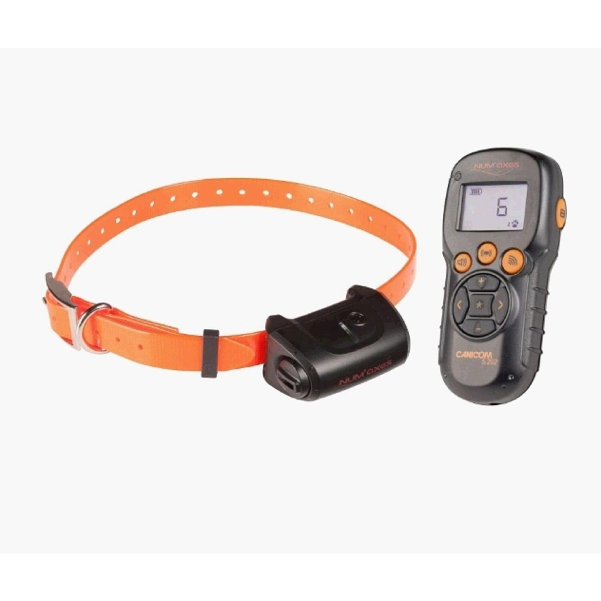 Num'axes - Ensemble De Dressage Jusqu'à 2 Chiens Canicom 5.202 - Collier De Dressage - Noir|orange - 68 Cm - Decathlon
