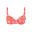 Sunseeker Bügel-Bikini-Top »Ditsy« für Damen