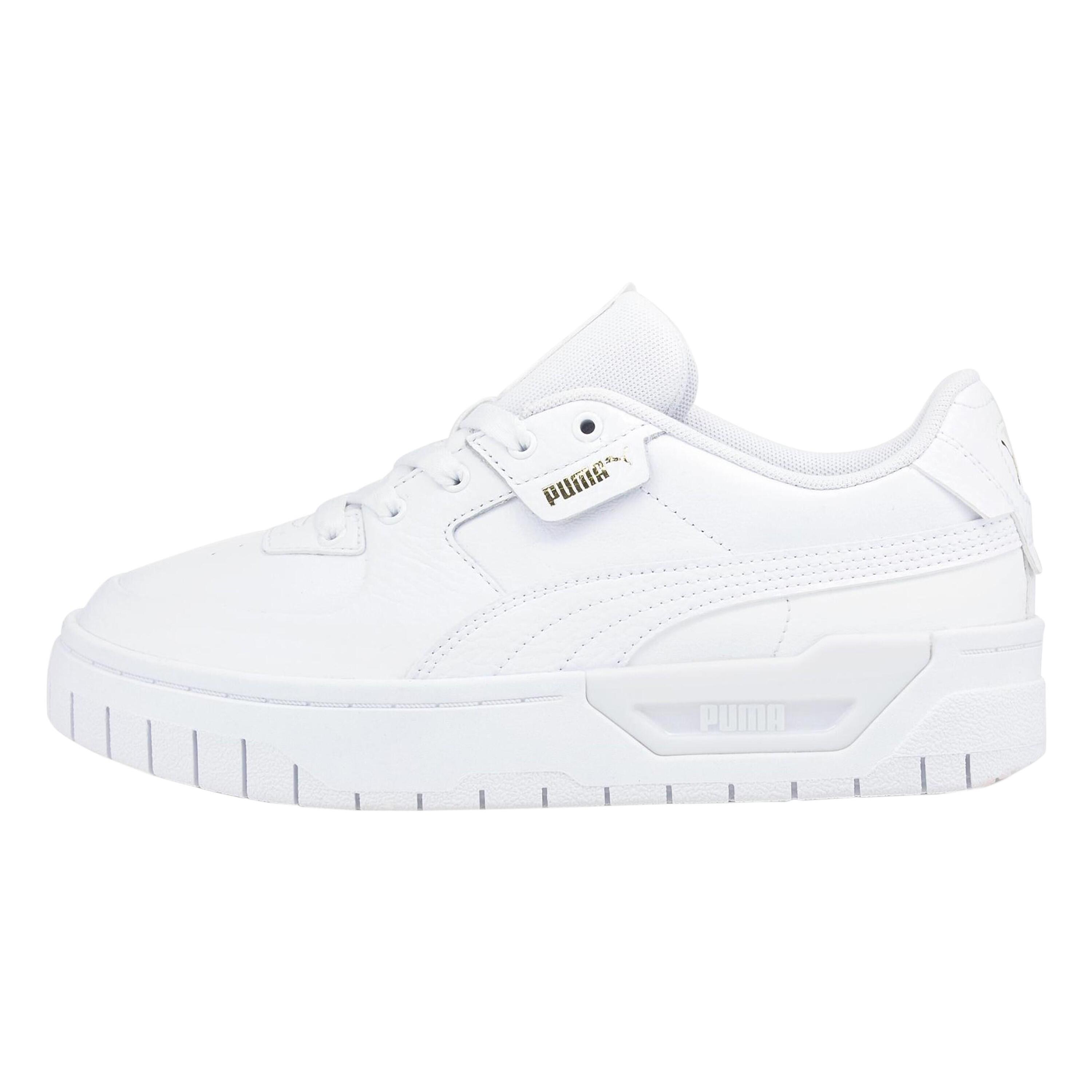 PUMA picture