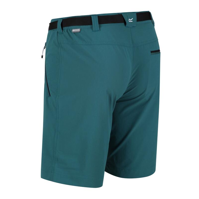 Xert Stretch III Short de randonnée pour homme - Vert