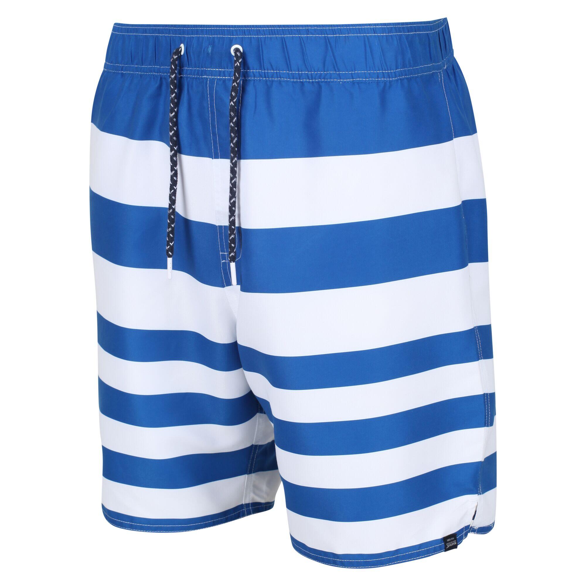 Mens Hamza Striped Swim Shorts (Lapis Blue) 4/5