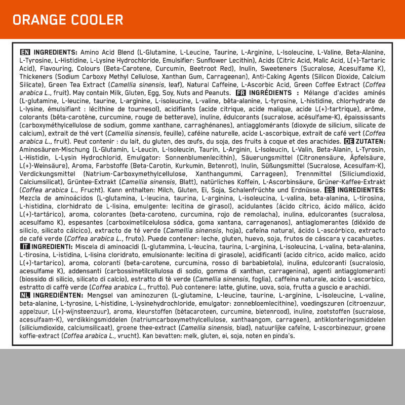 ESSENTIAL AMIN.O. ENERGY Orange Cooler 270 gram (30 scoops)