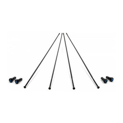 Set van 4 wielspaken linksvoor/rechtsachter campagnolo bora one 50