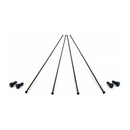 Lot de 4 rayons roue à disque avant gauche/arrière droit Campagnolo Bora One 50