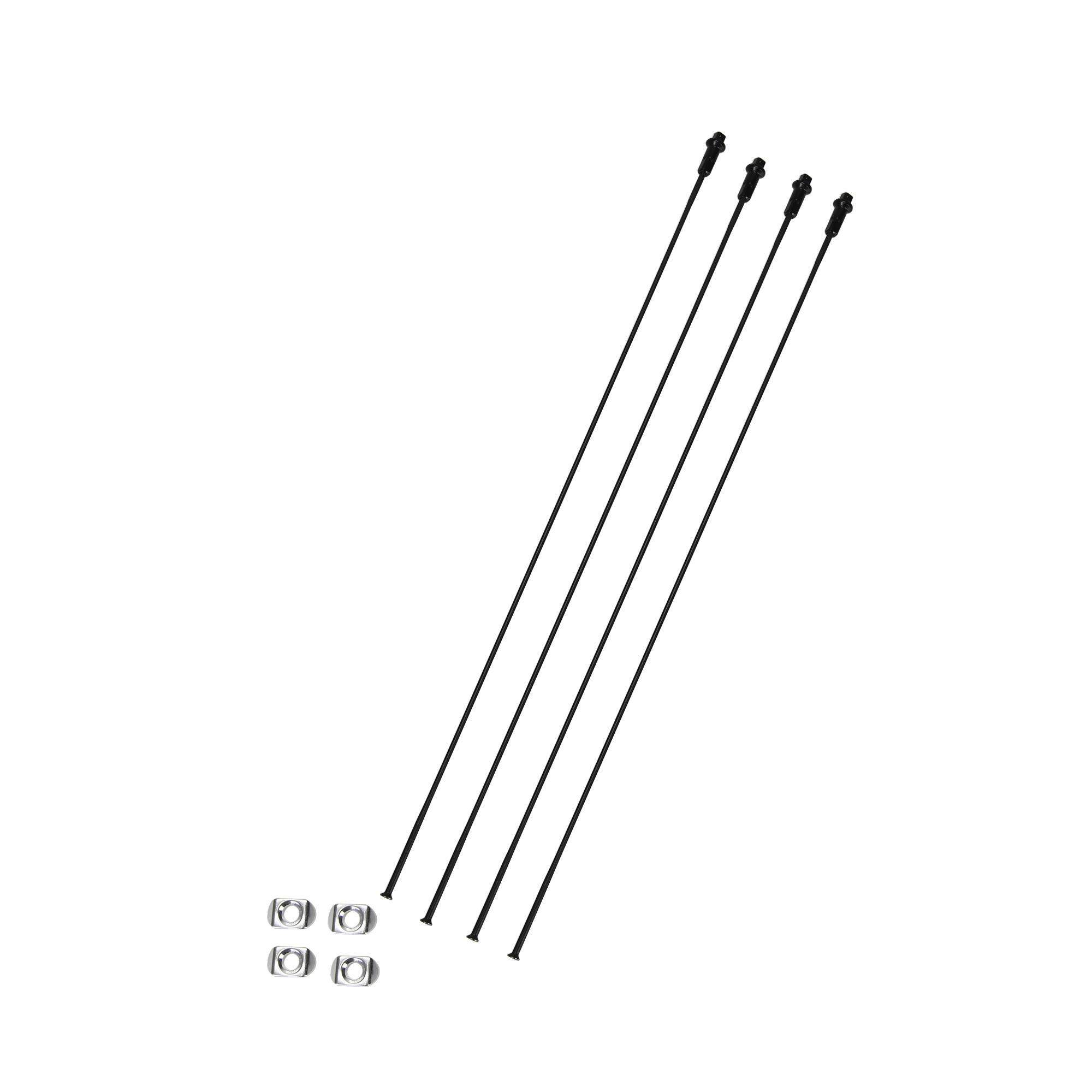 Campagnolo - Rayons Roue À Disque Arrière Gauche Campagnolo Scirocco (x4) - Rayon Roue - Taille Unique - Decathlon