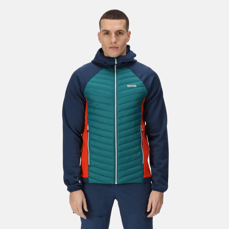 Chaquetas Softshell Hombre - REGATTA Andreson VII Hybrid - Pacific