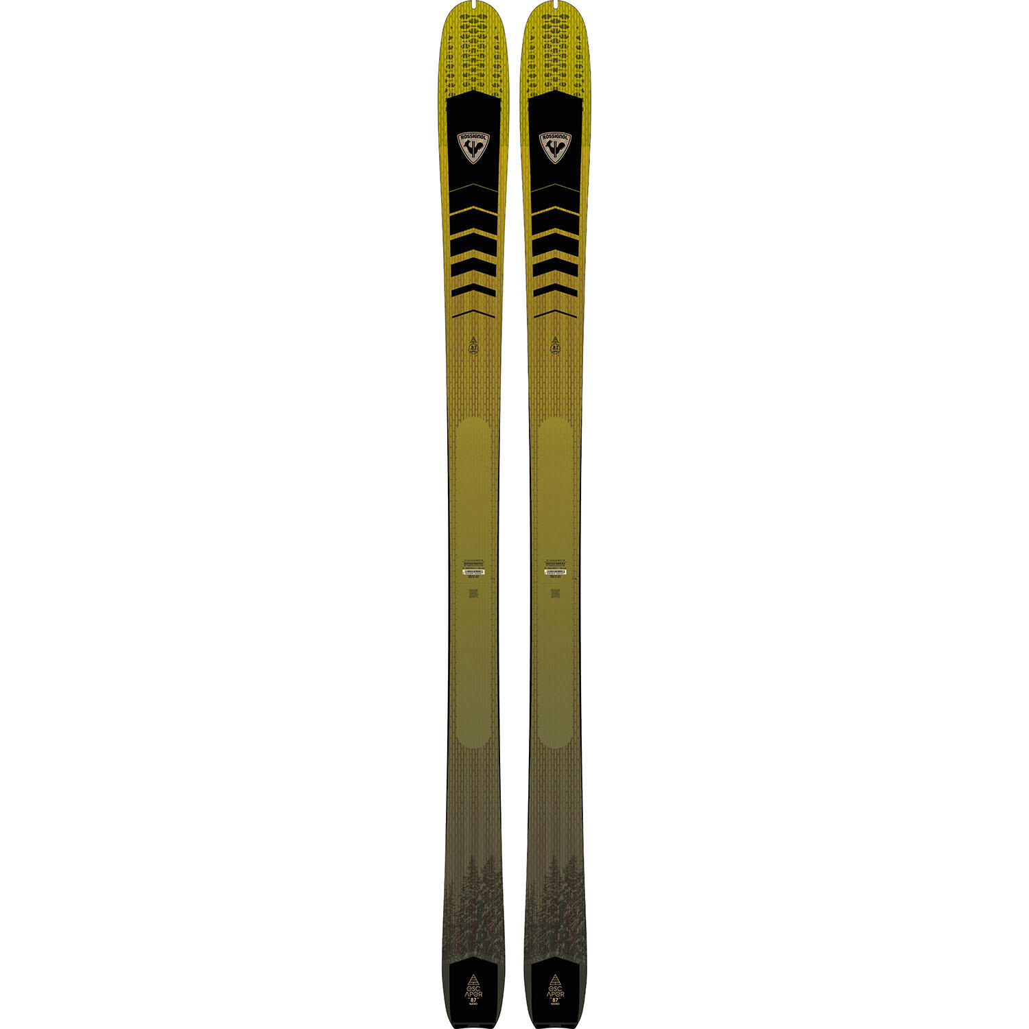 ROSSIGNOL picture
