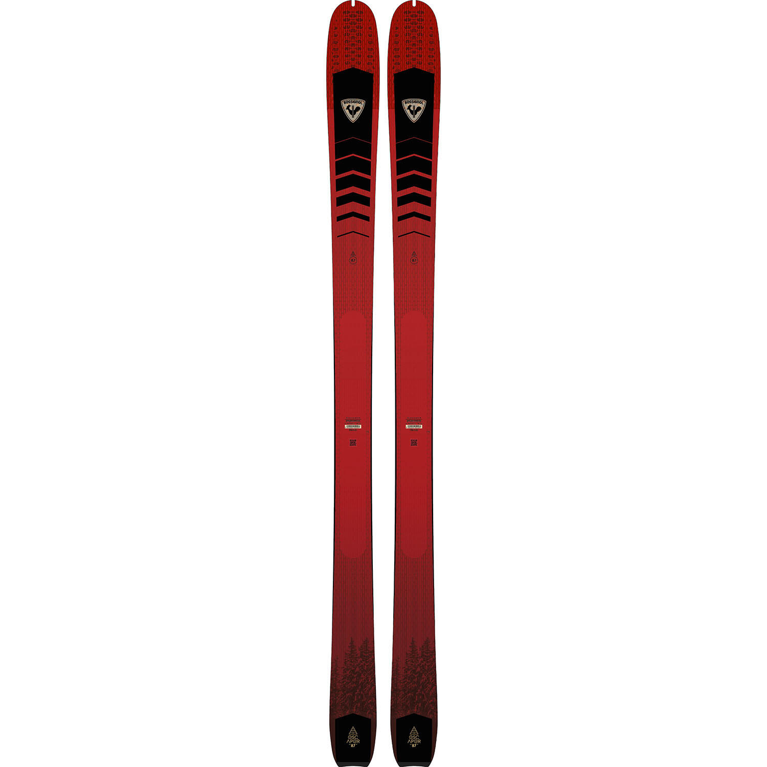ROSSIGNOL picture
