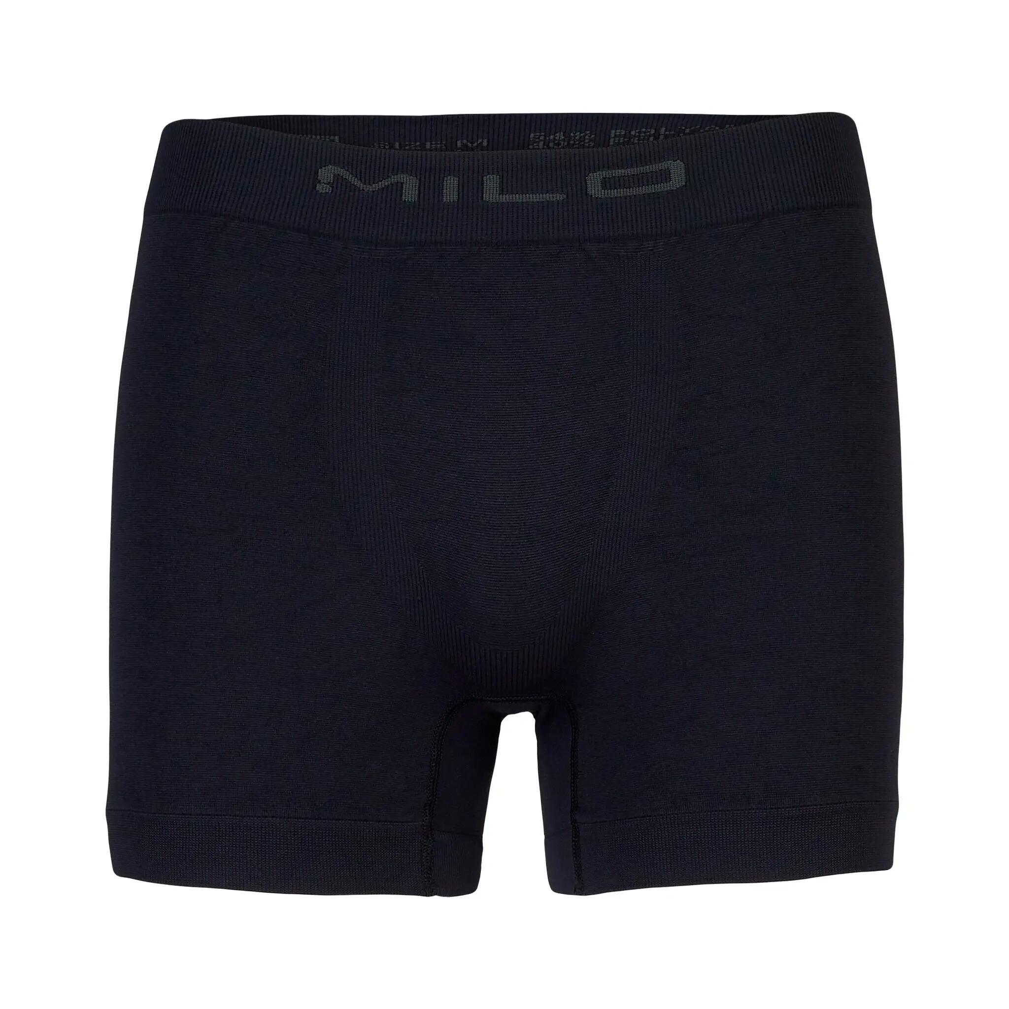 MILO picture