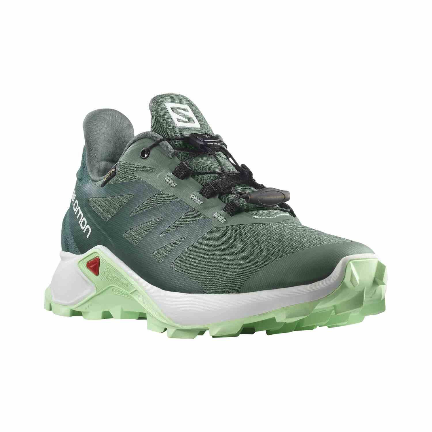 Chaussures de course Salomon modèle L41607400 pour femmes 5/5