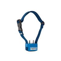 Collier anti-aboiement CANICALM