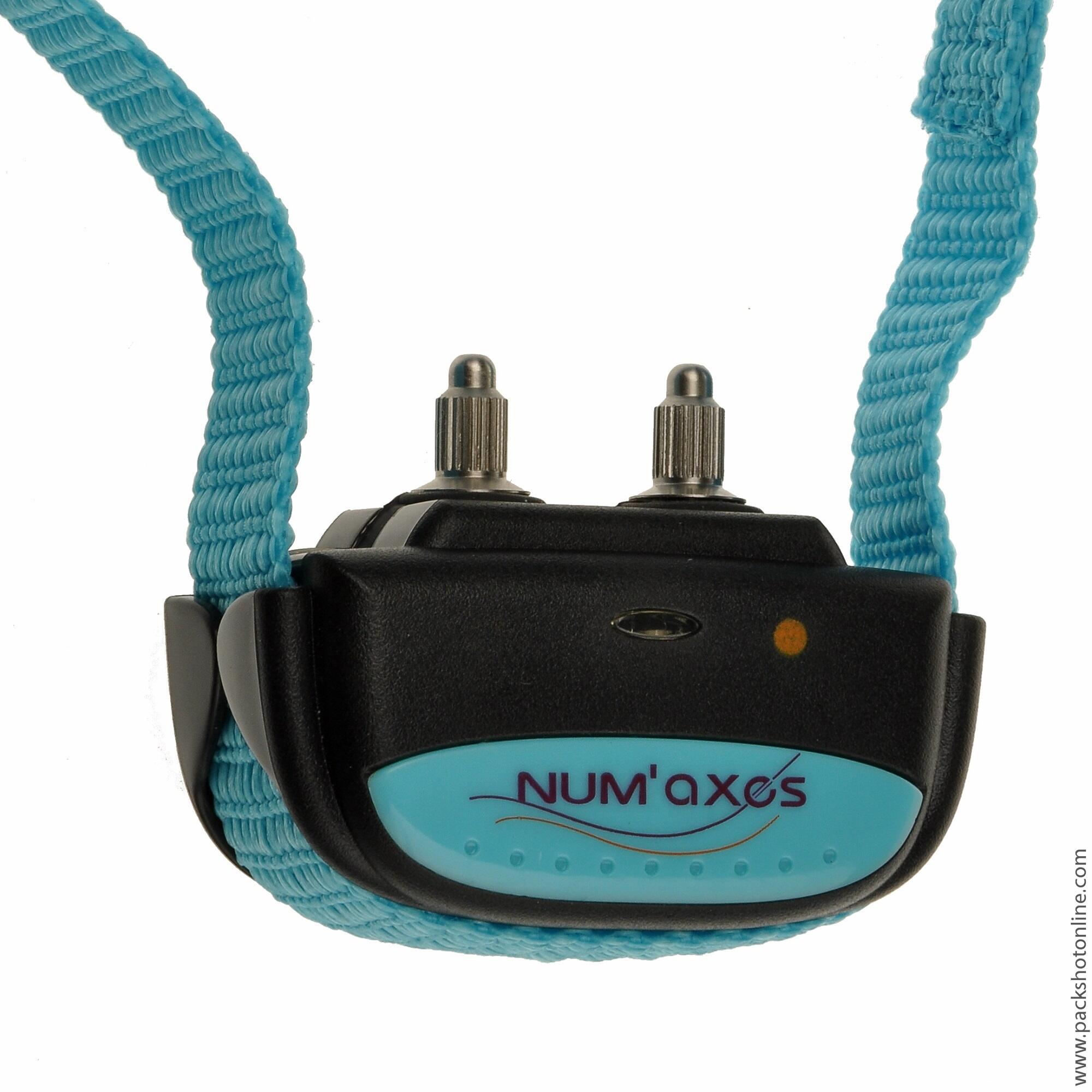 Anti-bark hunting collar - Iki Pulse light blue dog