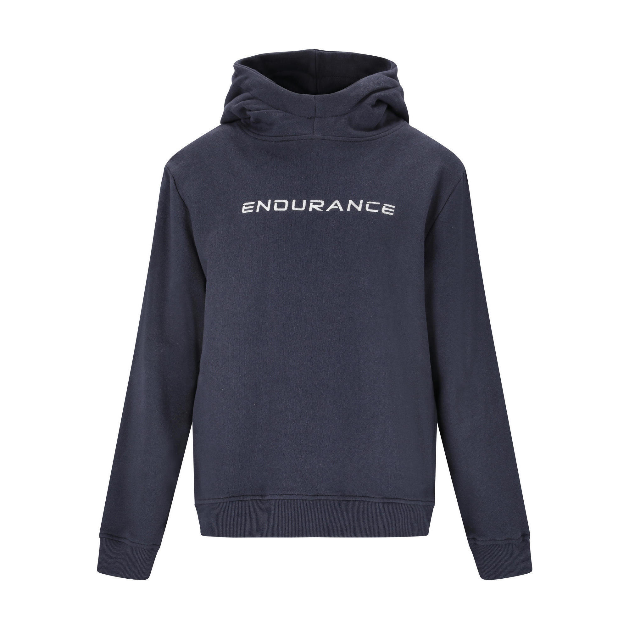 ENDURANCE picture