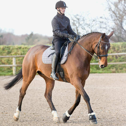 Cloches pour cheval Horze Salerno