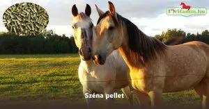 Széna pellet 2/2