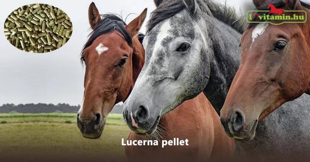Lucerna pellet 2/2