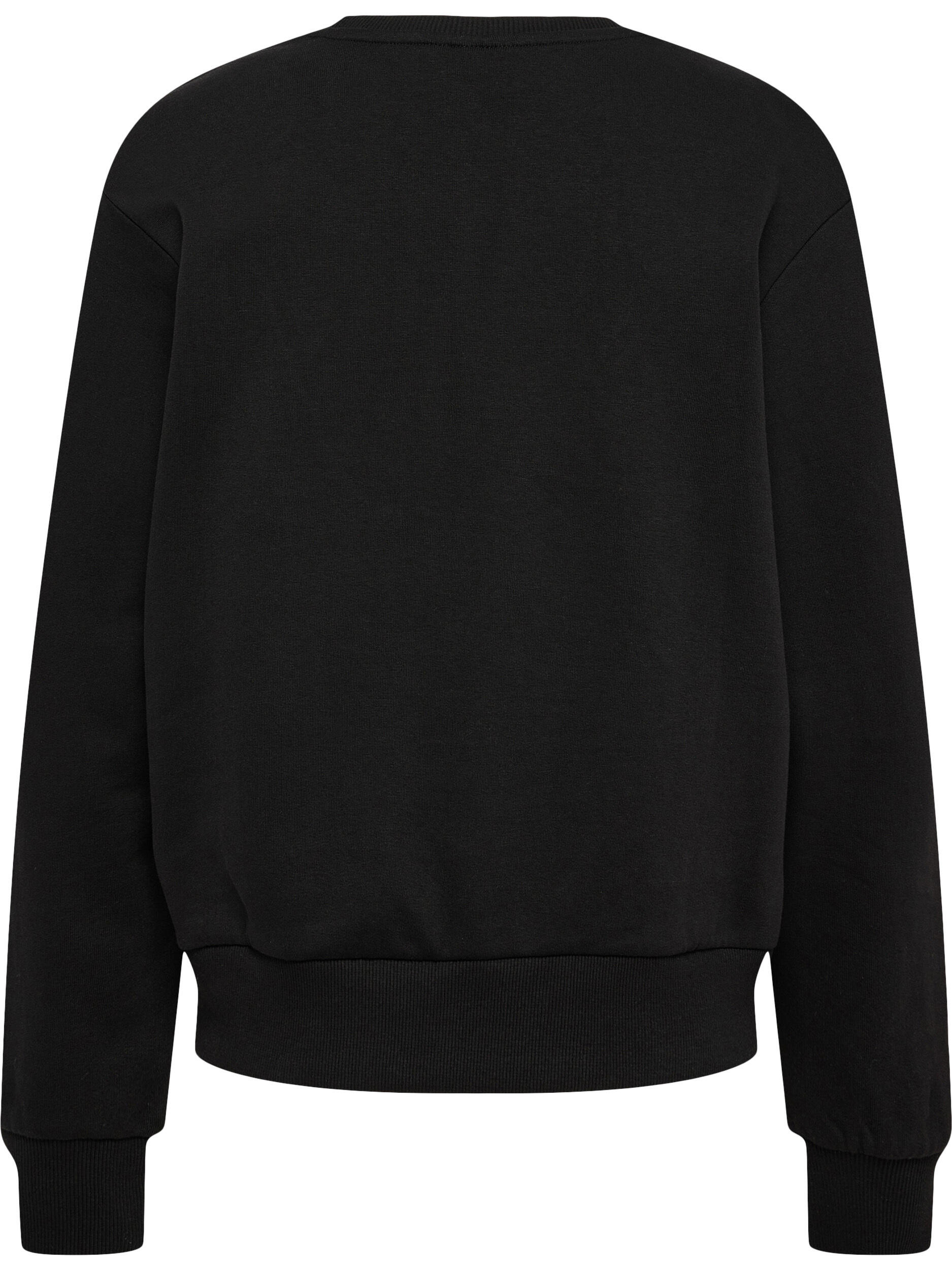 Enfiler Sweat-Shirt Hmlte Element Femme 6/7