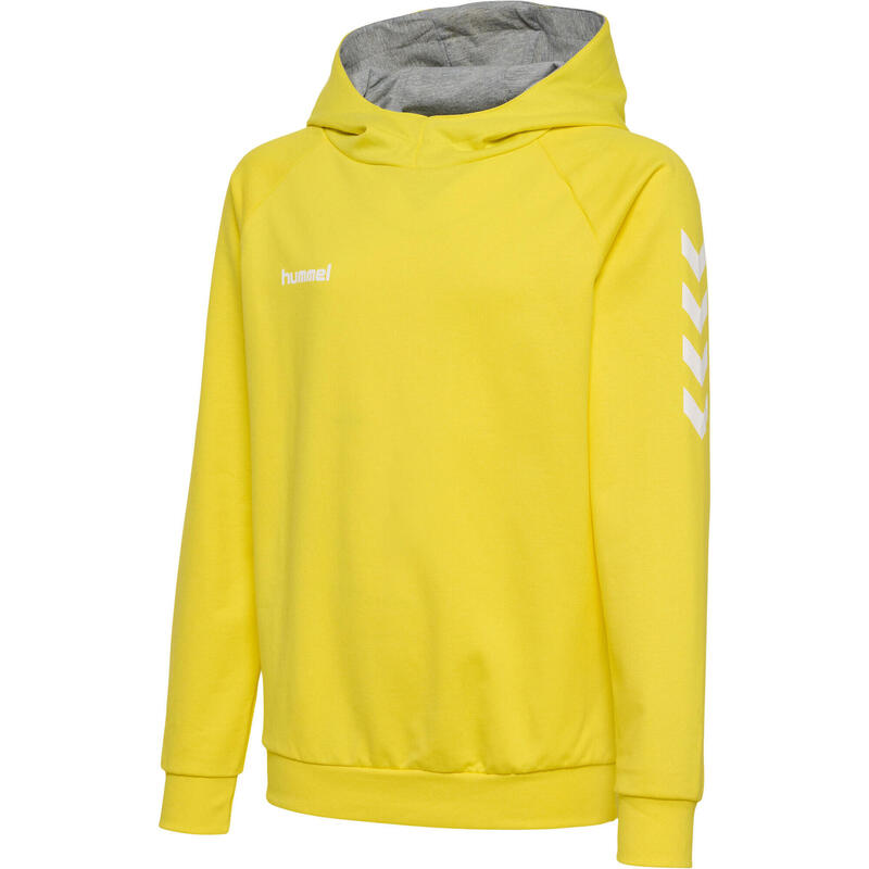 Sweat Kapuzenpullover Baumwolle Kind Hummel Go