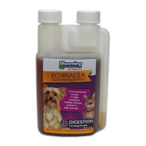Echinacea - Kasvirág immunerősítő oldat kutyáknak