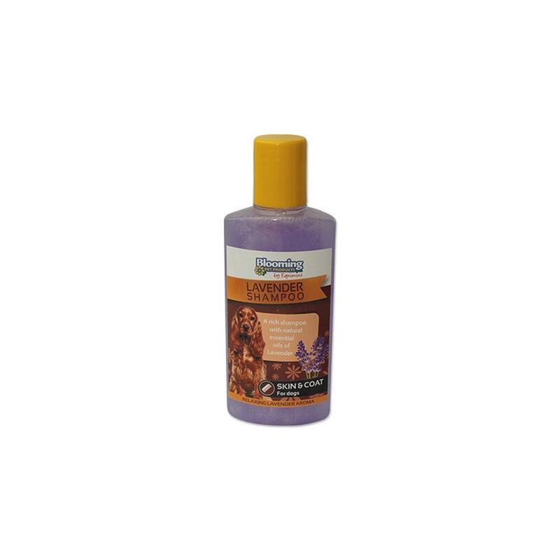 Lavender shampoo - Levendula sampon kutyáknak