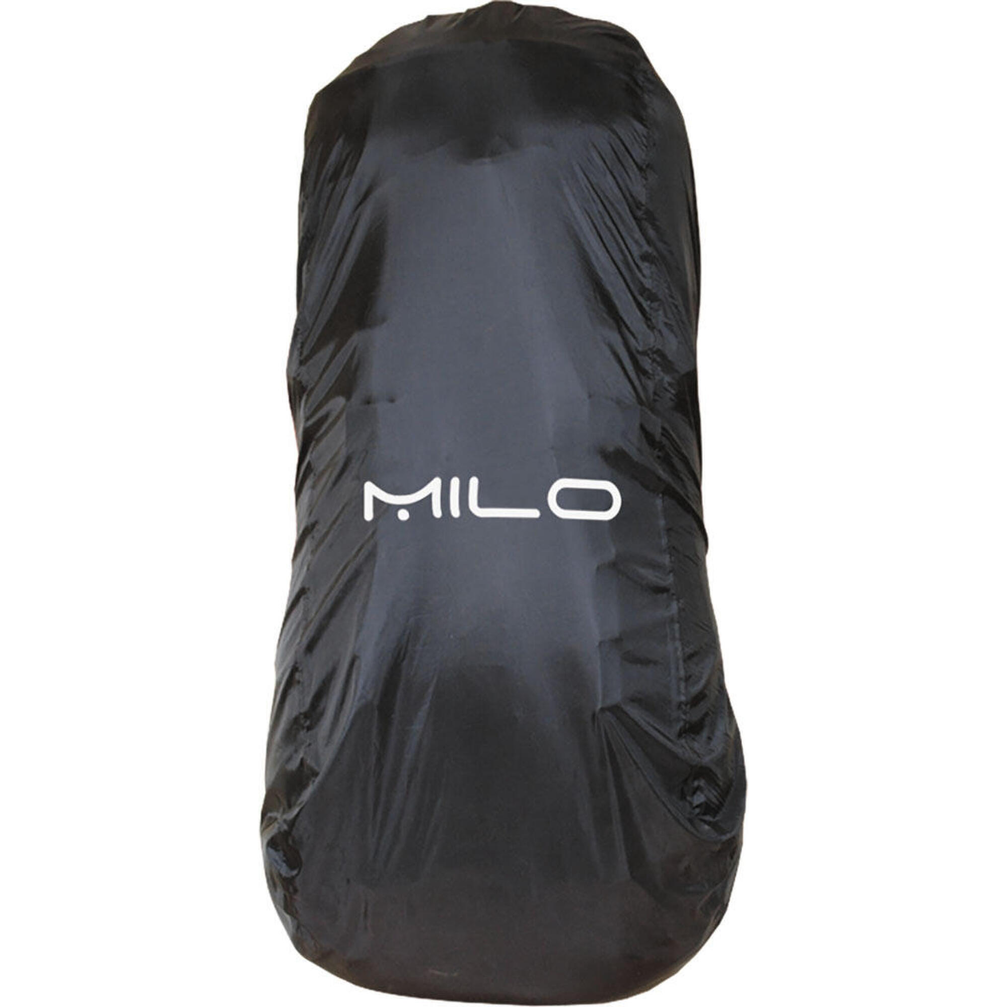 MILO picture