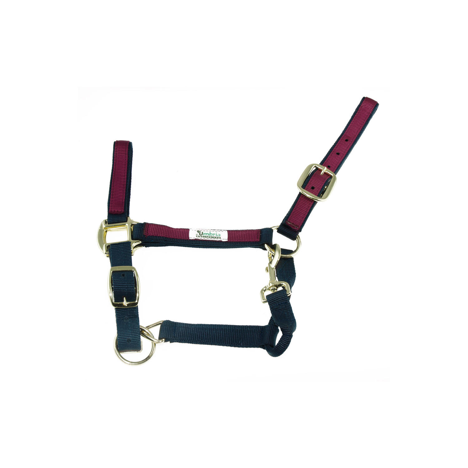 UMBRIA EQUITAZIONE Nylon halter met gekleurde insert