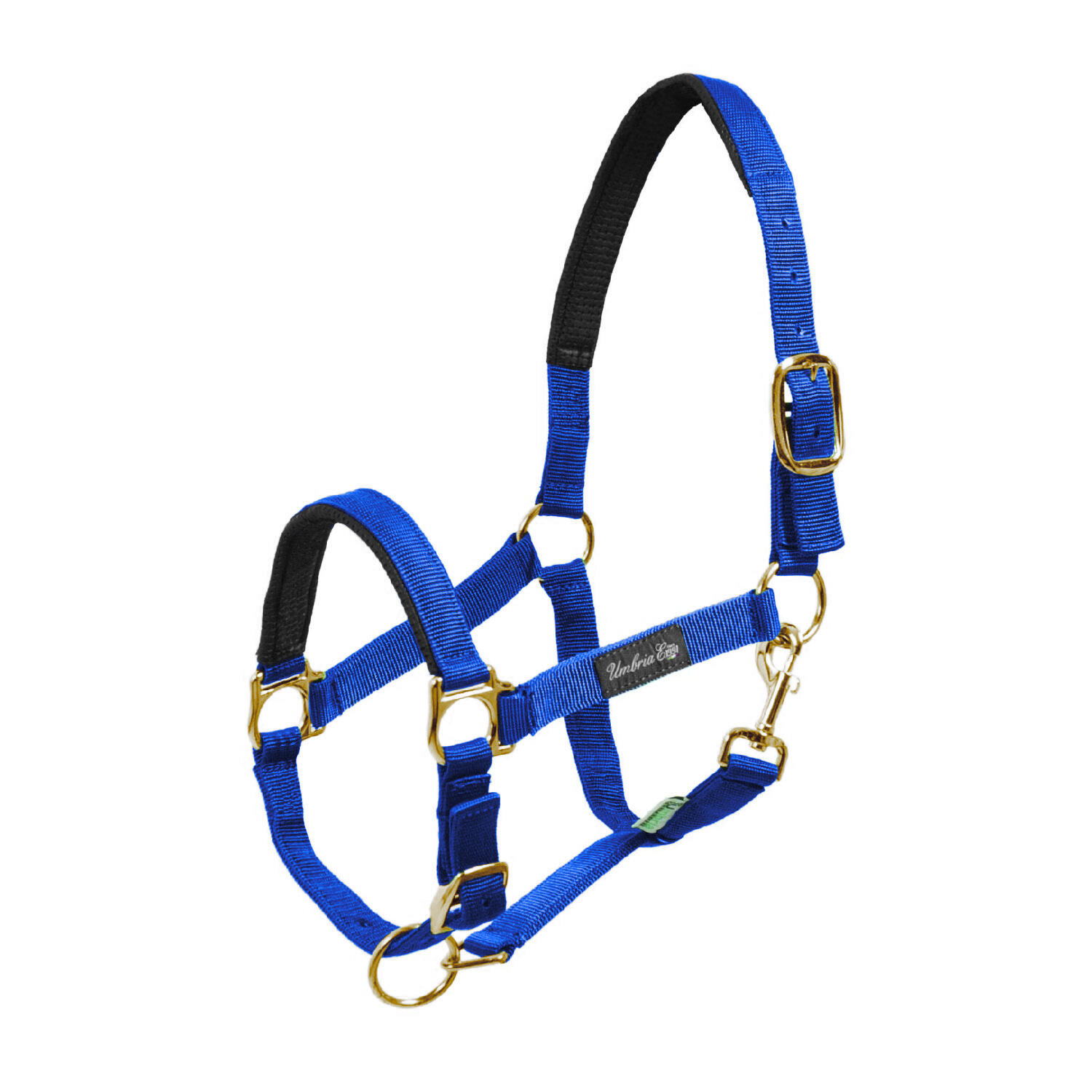 Donkerblauw