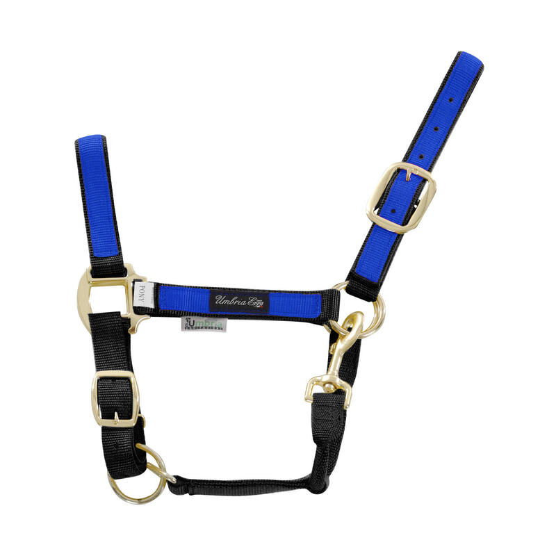 Nylon halter met gekleurde insert