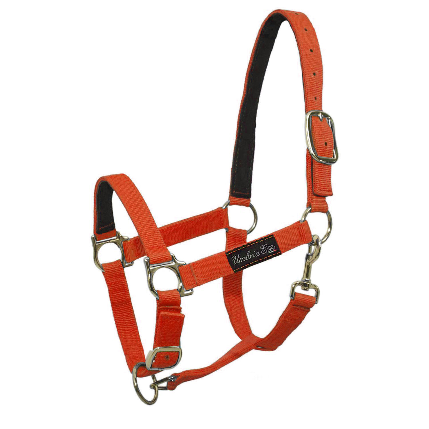UMBRIA EQUITAZIONE Nylon halter met lederen vulling