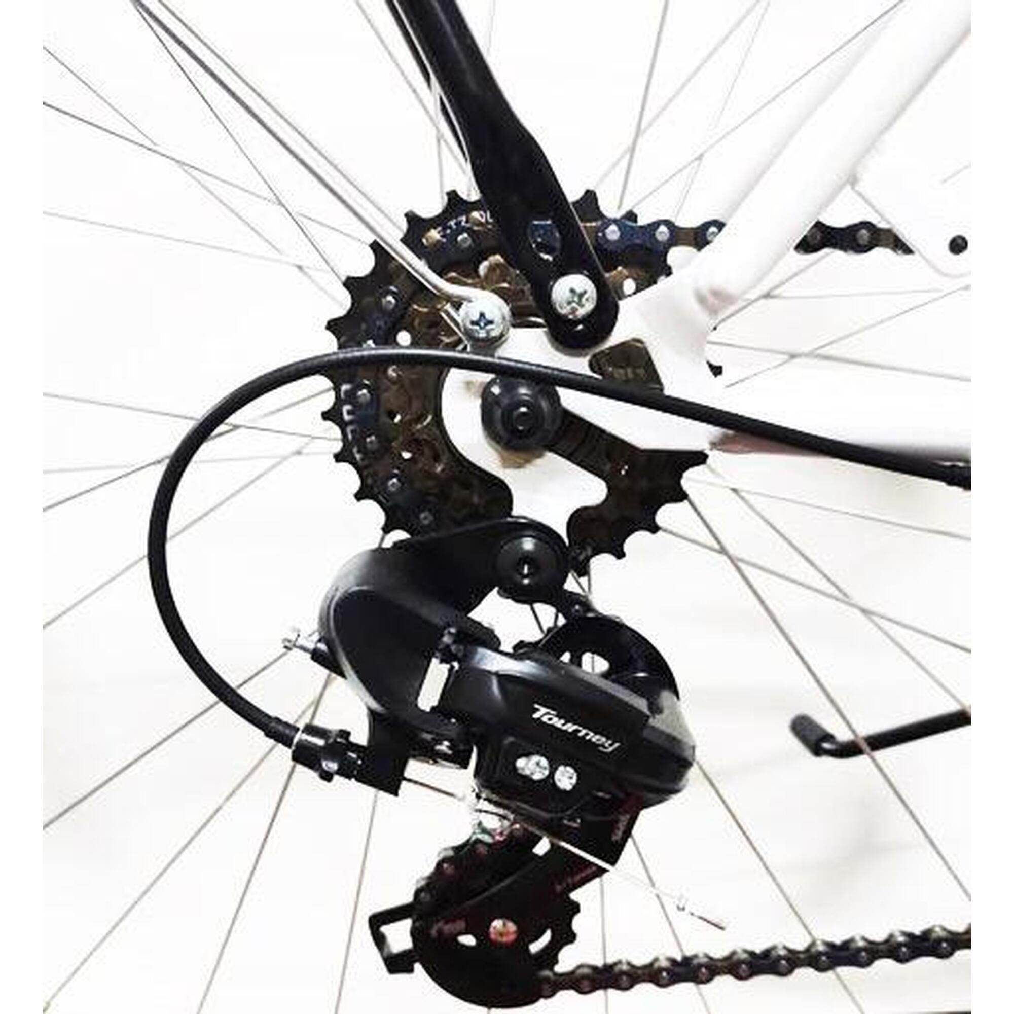 City Bike 26 Zoll Cloot Relax 5/5