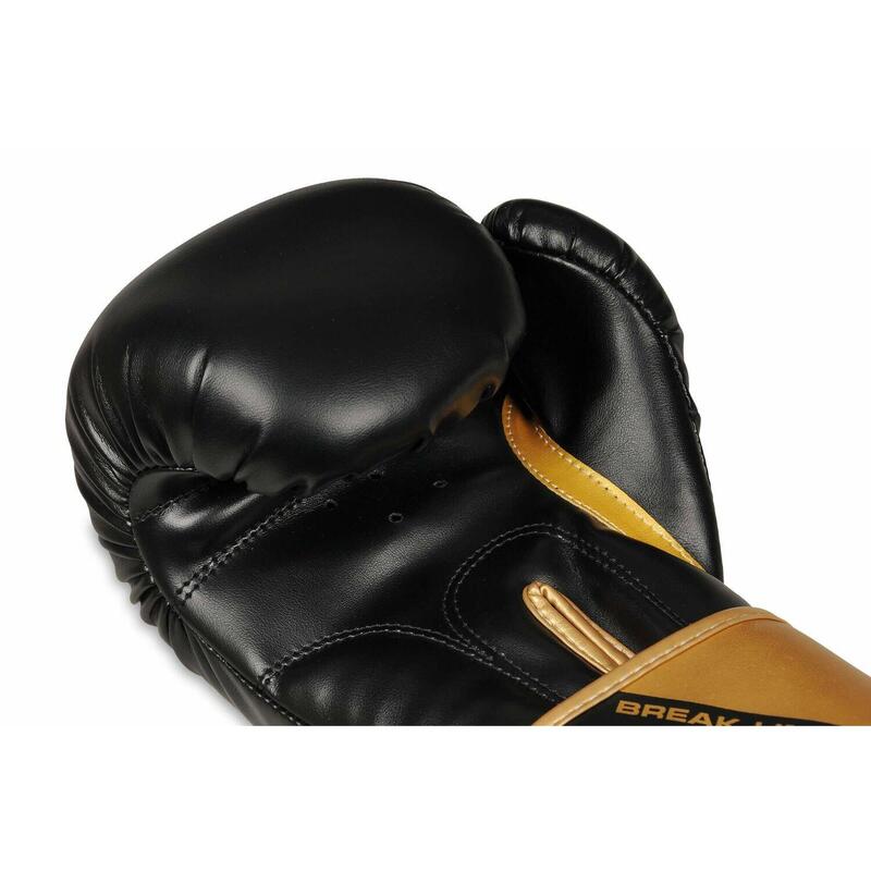 Boxerské rukavice DBX BUSHIDO B-2v10 10oz