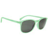 Lunettes de soleil ISIS vert mat, Polarisés GRIS - cat.3 - MUNDAKA