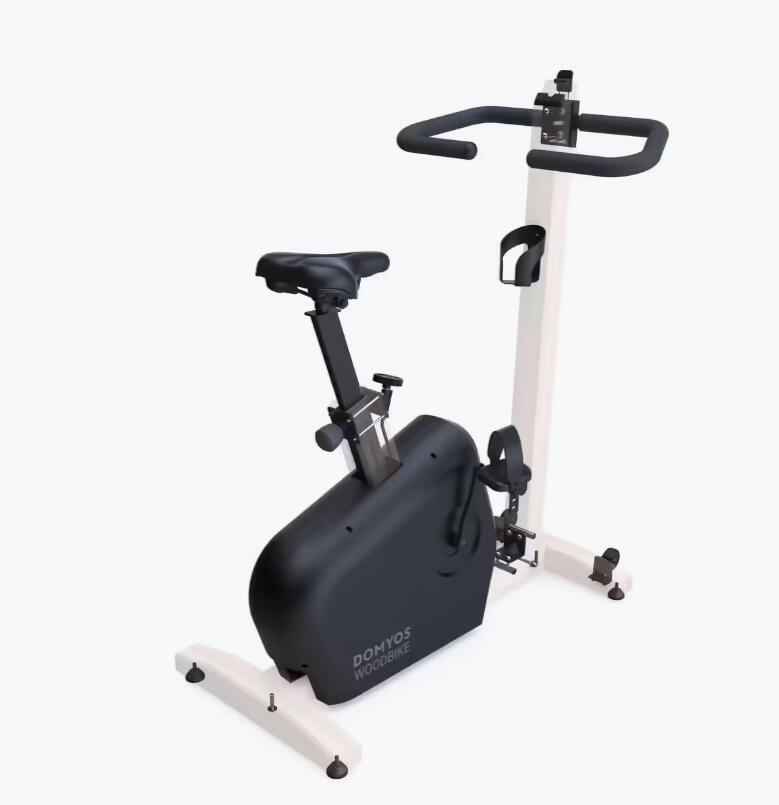 Refurbished Fitness Exercise Bike Domyos Woodbike