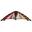 Cerfs-Volants 2 lignes -  Elliot -  Xdream