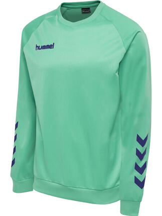 Enfiler Sweat-Shirt Hmlpromo Enfant