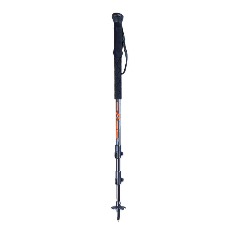 BATONS DE RANDONNEE PEAK CARBON 100