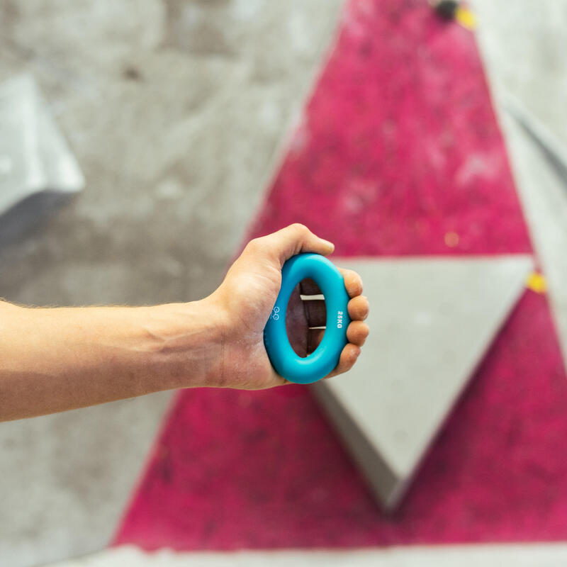 Przyrząd do ćwiczeń Y&Y Vertical Climbing Ring 25 kg - blue