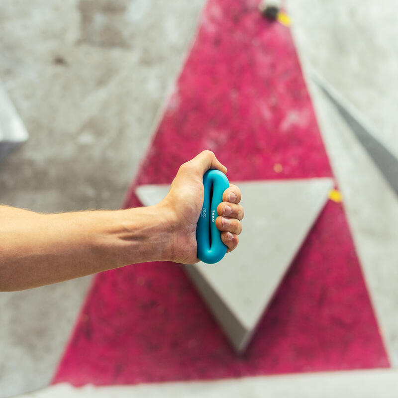 Przyrząd do ćwiczeń Y&Y Vertical Climbing Ring 25 kg - blue